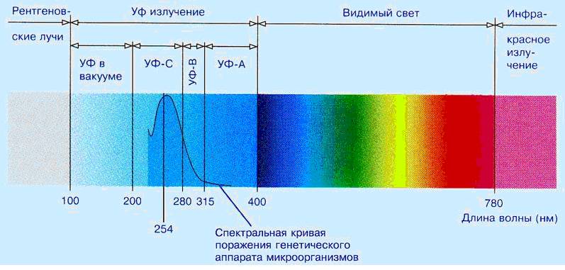 grafik