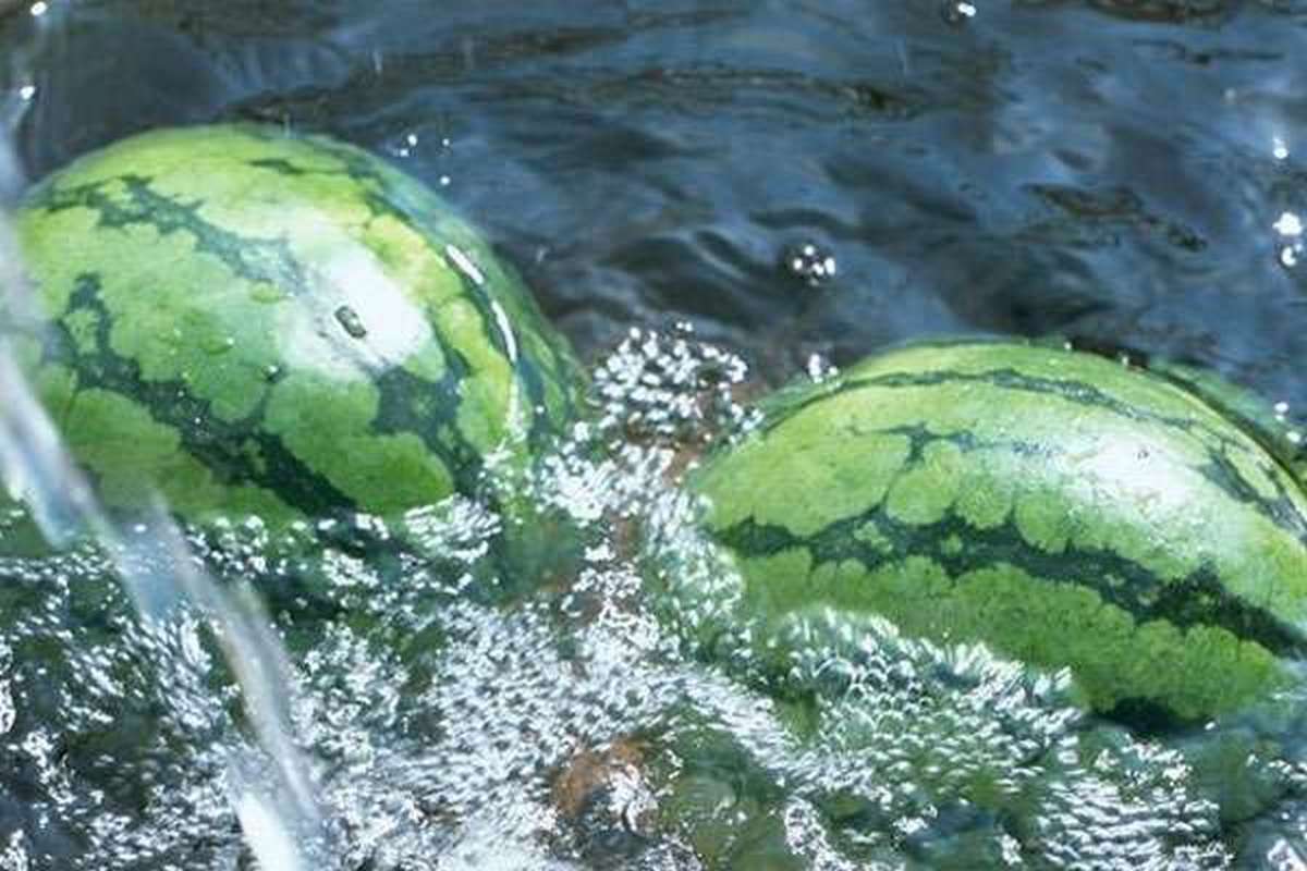 арбузы лежат в воде